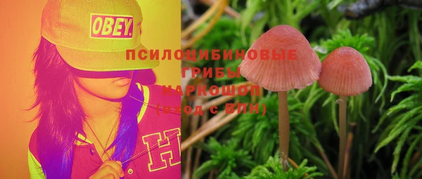 дурь Аркадак