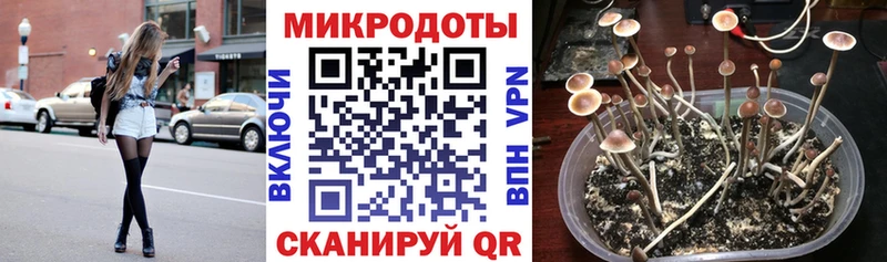 Псилоцибиновые грибы мухоморы  что такое   Инза 